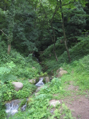 f:id:Too:20100705133007j:image