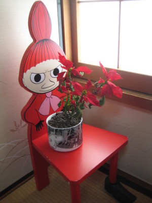 f:id:Too:20101211173300j:image