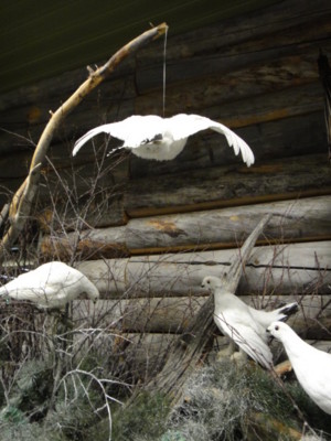 f:id:Too:20110222180129j:image