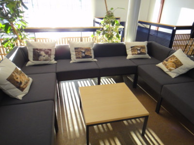 f:id:Too:20110223125633j:image