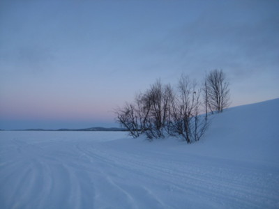 f:id:Too:20110223131046j:image