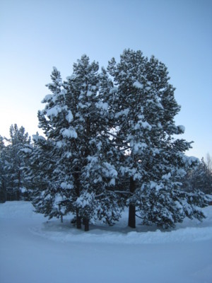 f:id:Too:20110223131048j:image
