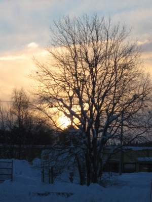 f:id:Too:20110223131102j:image