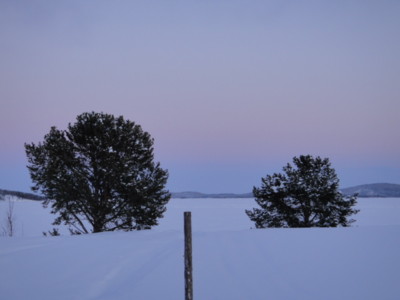 f:id:Too:20110223131426j:image