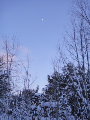 f:id:Too:20110223131427j:image