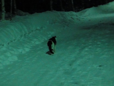 f:id:Too:20110223132959j:image