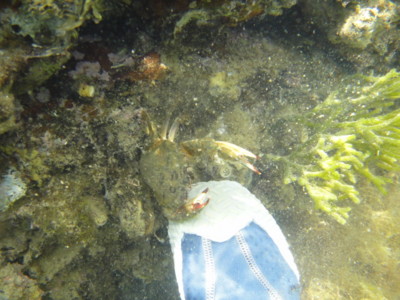 f:id:Too:20110825185410j:image