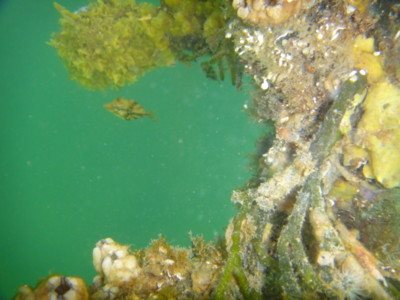 f:id:Too:20110825185411j:image