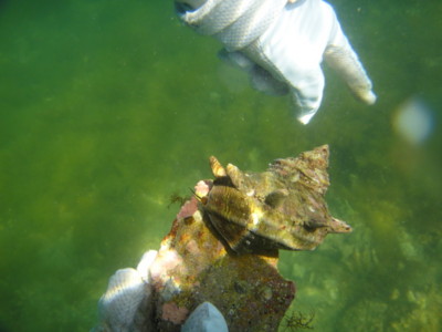 f:id:Too:20110825190145j:image