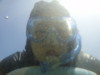 f:id:Too:20110826160103j:image