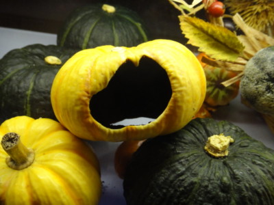 f:id:Too:20111025122240j:image