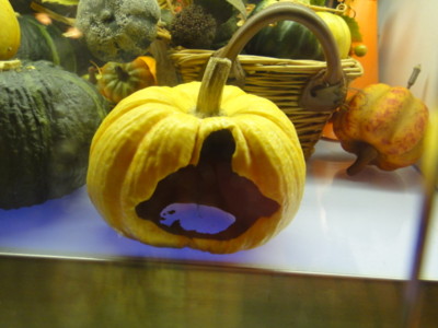 f:id:Too:20111025122241j:image
