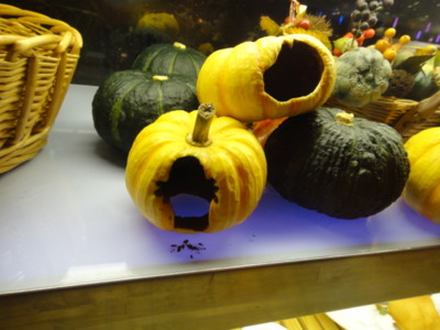 f:id:Too:20111025122242j:image