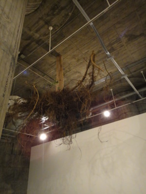 f:id:Too:20111104123034j:image f:id:Too:20111104123034j:image