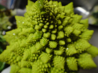 f:id:Too:20111124191211j:image