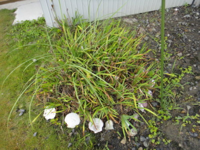 f:id:Too:20120825133635j:image