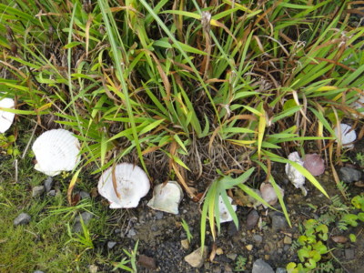 f:id:Too:20120825133636j:image