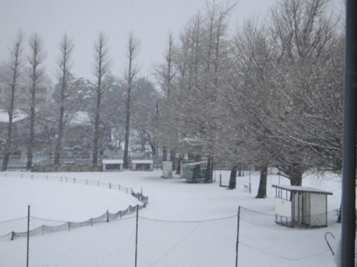 f:id:Too:20130114174633j:image f:id:Too:20130114174633j:image