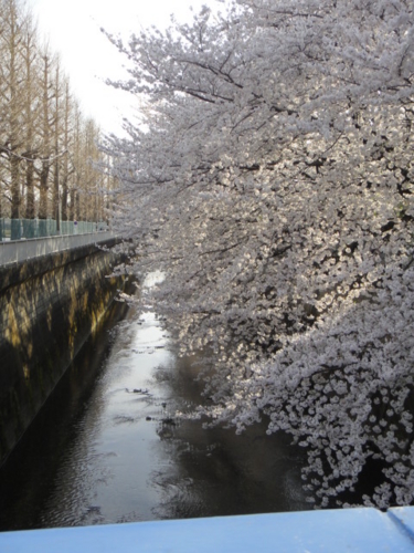 f:id:Too:20130328194610j:image