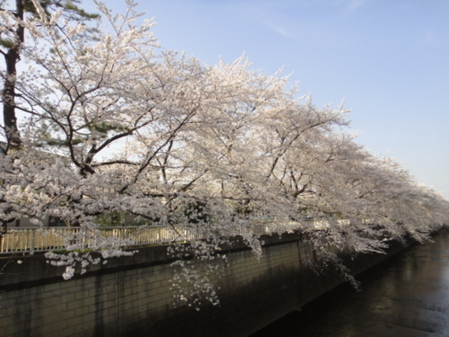 f:id:Too:20130328194611j:image