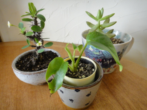 f:id:Too:20130402174343j:image f:id:Too:20130402174343j:image