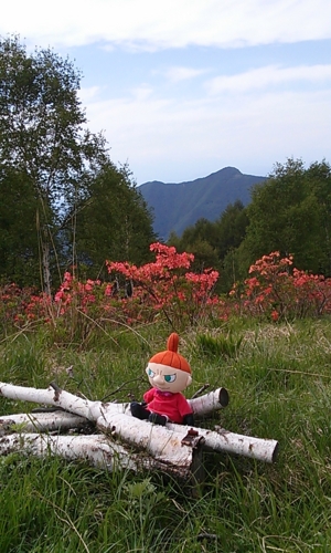 f:id:Too:20130617213012j:image
