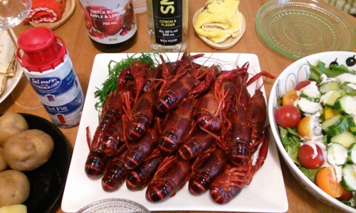 20130721203845
