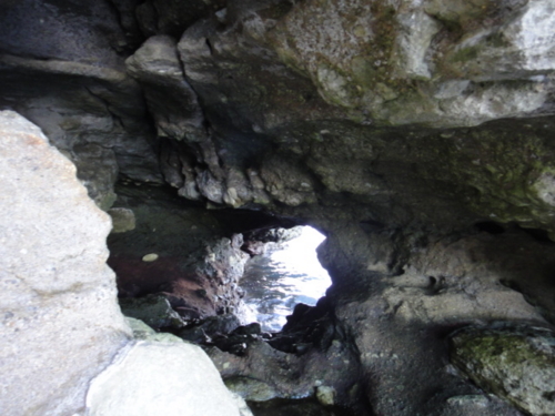 f:id:Too:20131217171031j:image