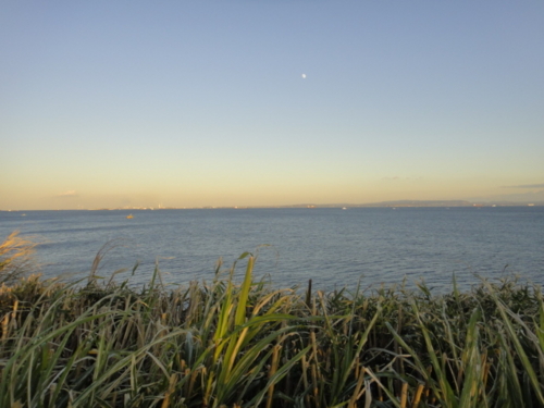 f:id:Too:20131218163224j:image