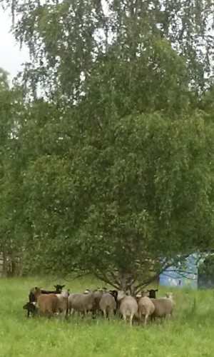 20140701052849