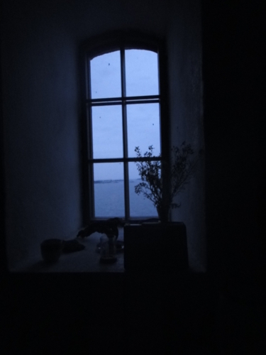 f:id:Too:20160210184434j:image
