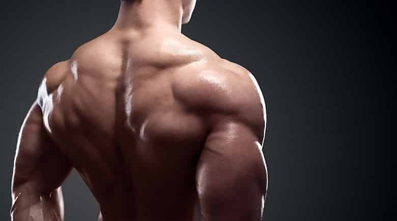 f:id:Topbodyproducts:20200322005316j:plain