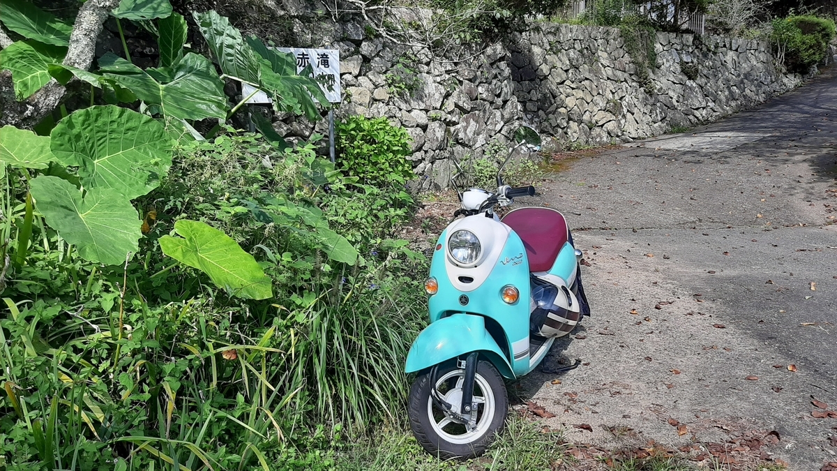 f:id:ToranokoTeikoku:20220106135717j:plain