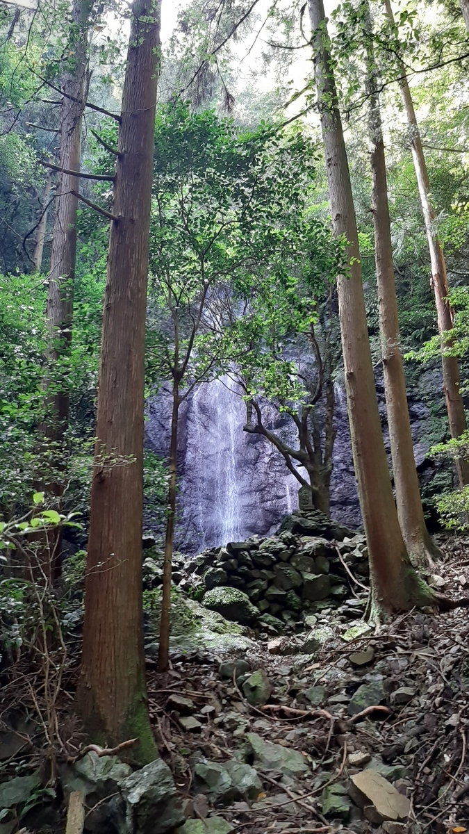 f:id:ToranokoTeikoku:20220106135832j:plain