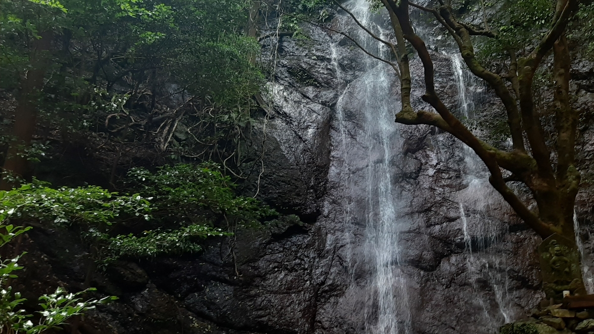 f:id:ToranokoTeikoku:20220106140002j:plain