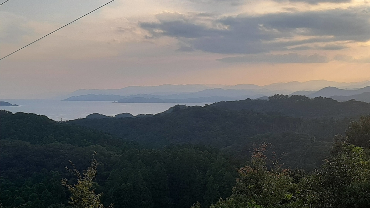 f:id:ToranokoTeikoku:20220106140154j:plain