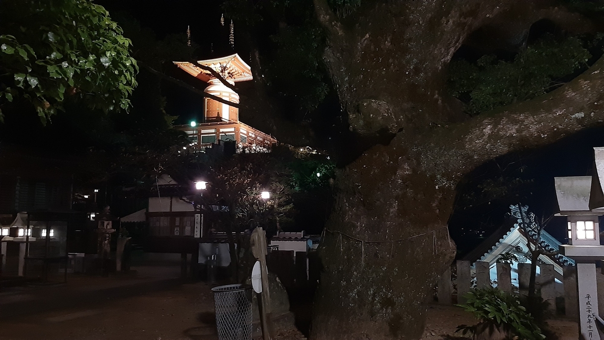 f:id:ToranokoTeikoku:20220106140354j:plain