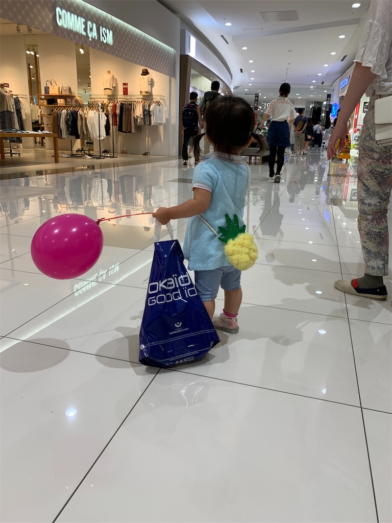 f:id:Torikunn:20190623222842j:image