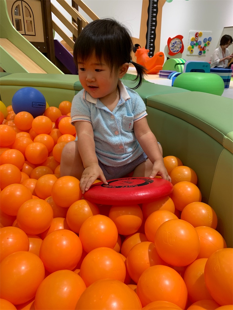 f:id:Torikunn:20190623223041j:image