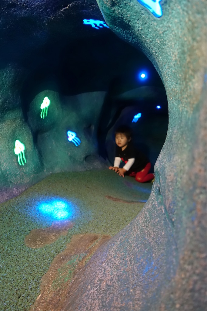 f:id:Torikunn:20190708230343j:image