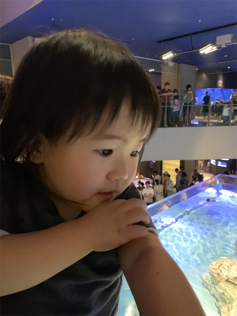 f:id:Torikunn:20190714212923j:image f:id:Torikunn:20190714212923j:image