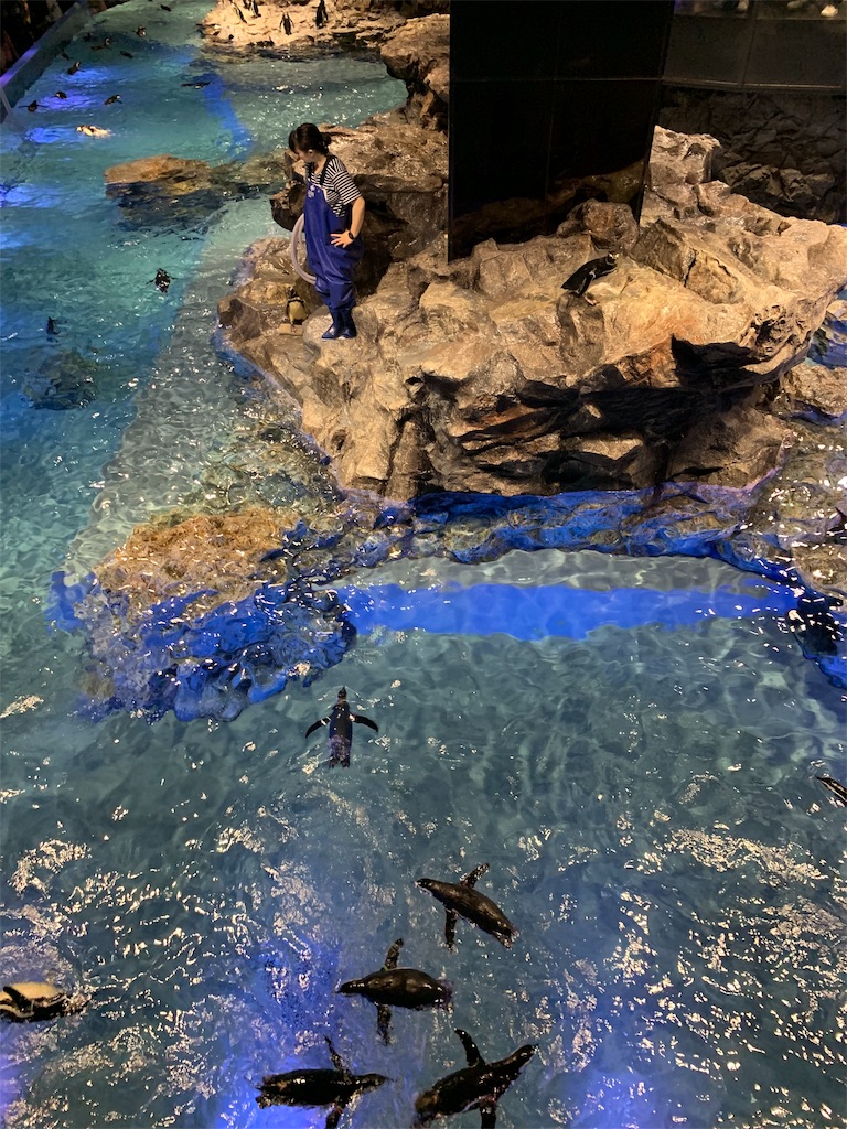 f:id:Torikunn:20190714212926j:image f:id:Torikunn:20190714212926j:image