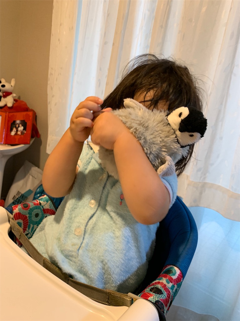 f:id:Torikunn:20190721213424j:image