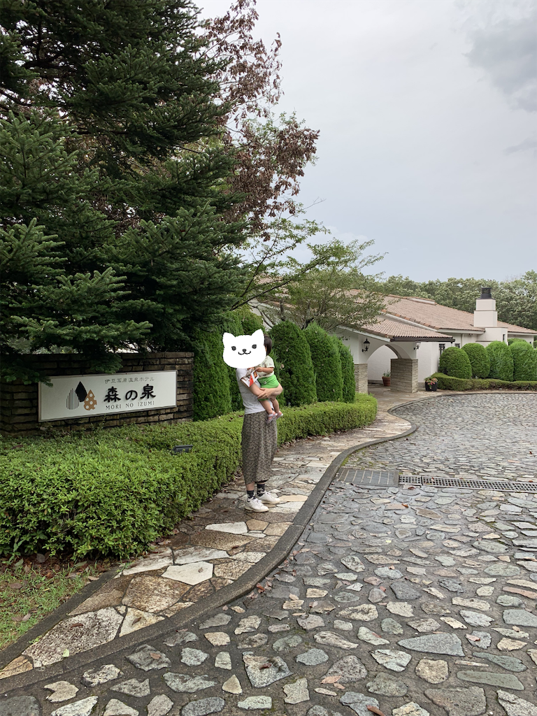 f:id:Torikunn:20190817234641p:image