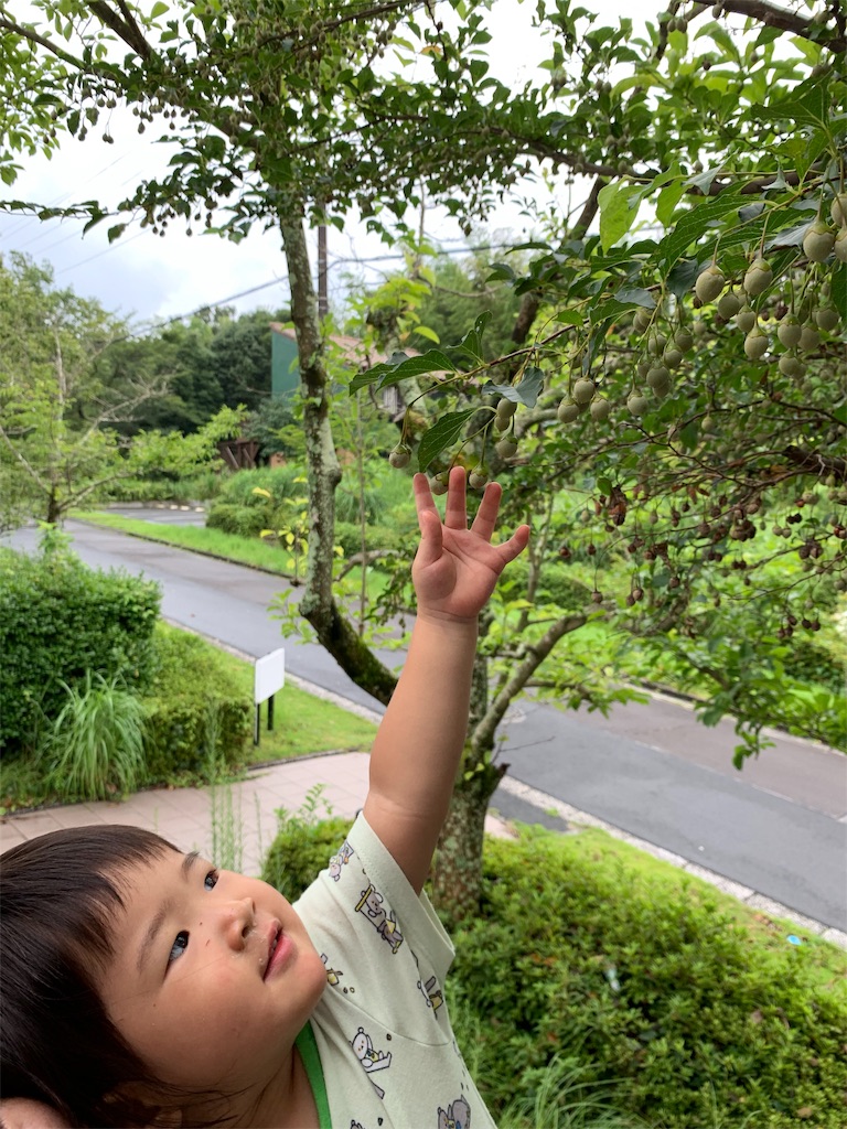 f:id:Torikunn:20190818011902j:image f:id:Torikunn:20190818011902j:image