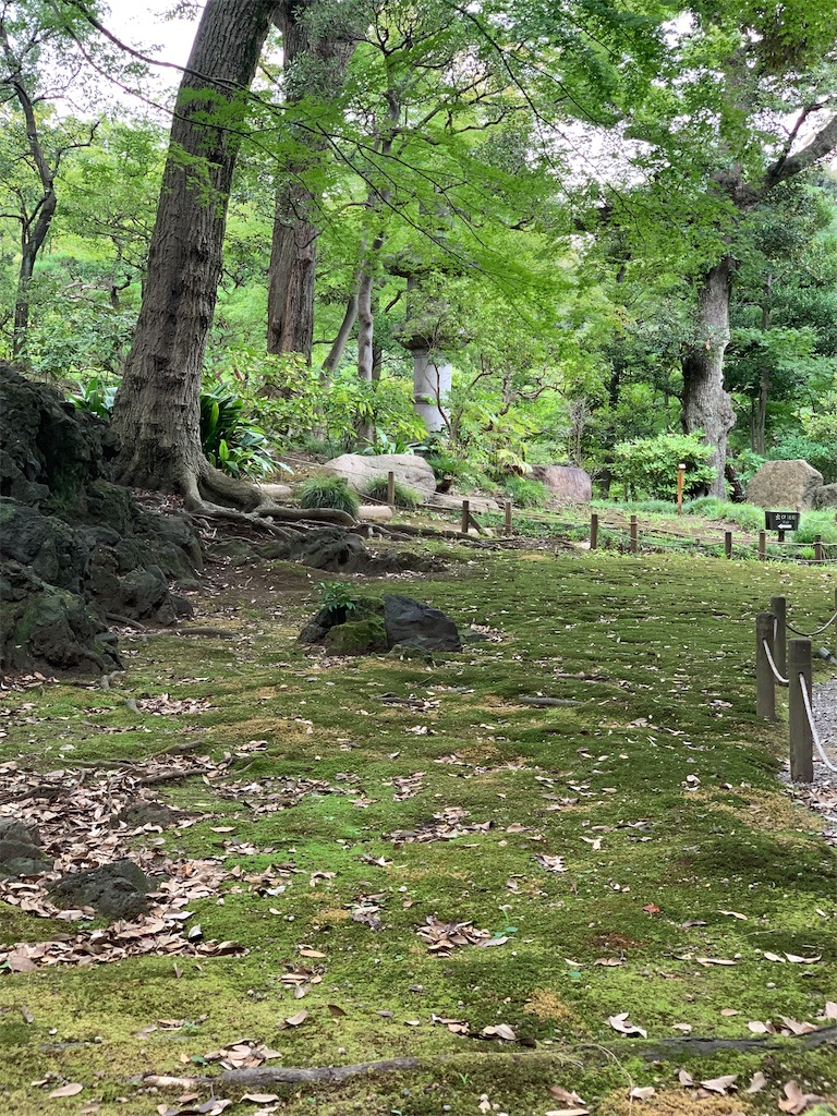 f:id:Torikunn:20190904164420j:image f:id:Torikunn:20190904164420j:image