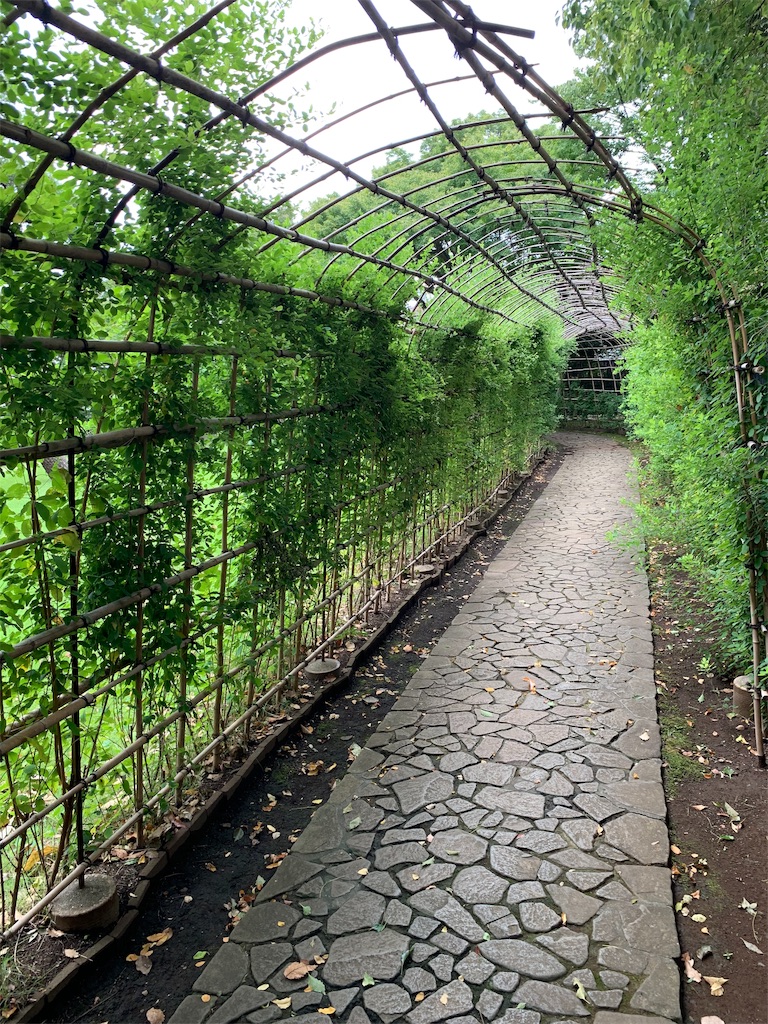 f:id:Torikunn:20190911162002j:image