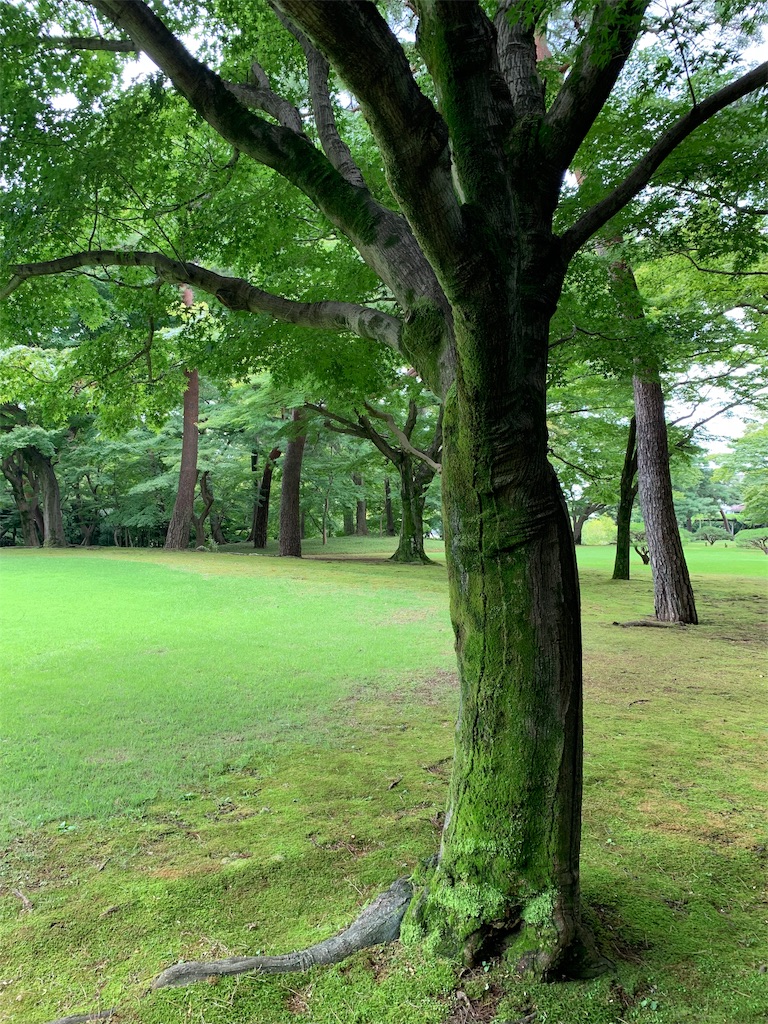 f:id:Torikunn:20190911162006j:image