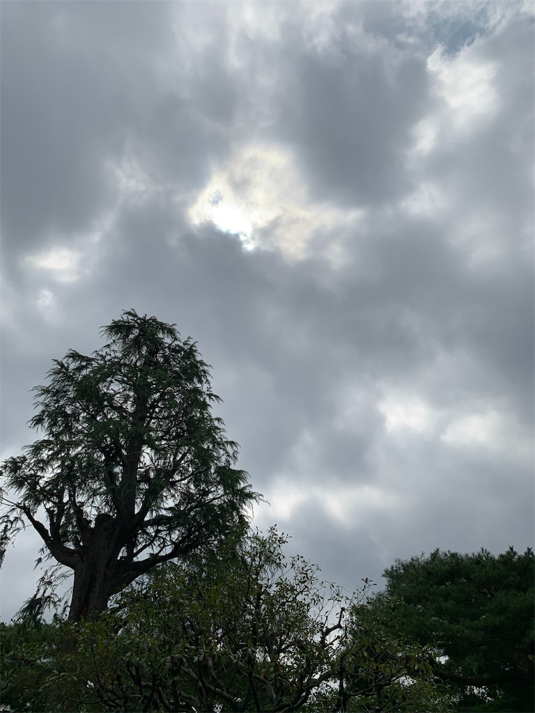f:id:Torikunn:20190911162009j:image