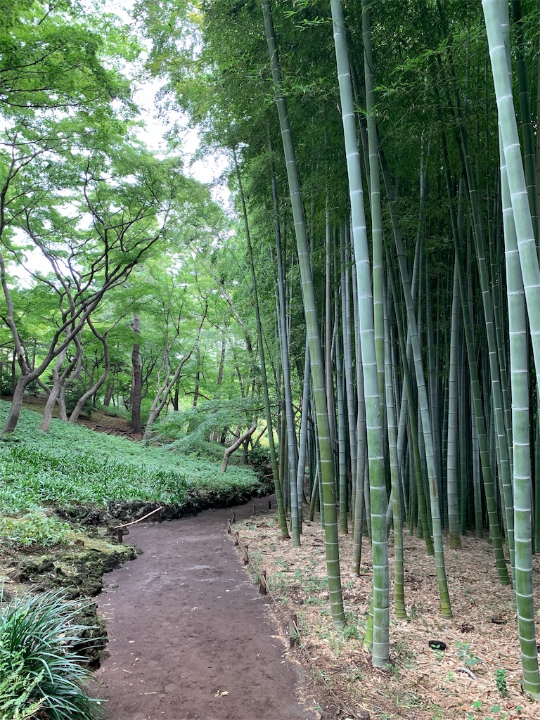 f:id:Torikunn:20190911162013j:image